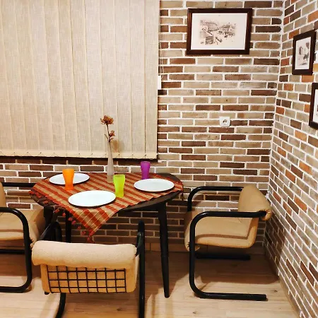 V2 With - Vintage Modern And Spacious Appartement Belgrado