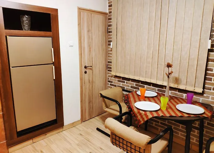 V2 With - Vintage Modern And Spacious Apartman Belgrade