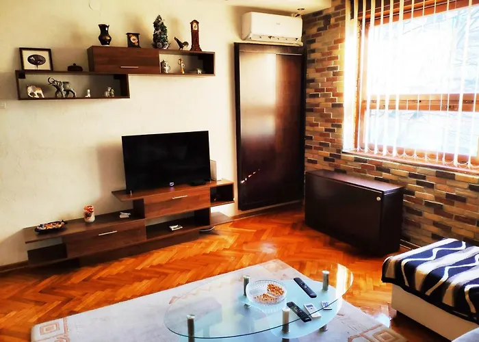 V2 With - Vintage Modern And Spacious Apartman Belgrade